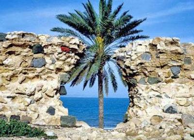 نشست بین المللی میراث فرهنگی ناملموس در جزیره قشم شروع شد