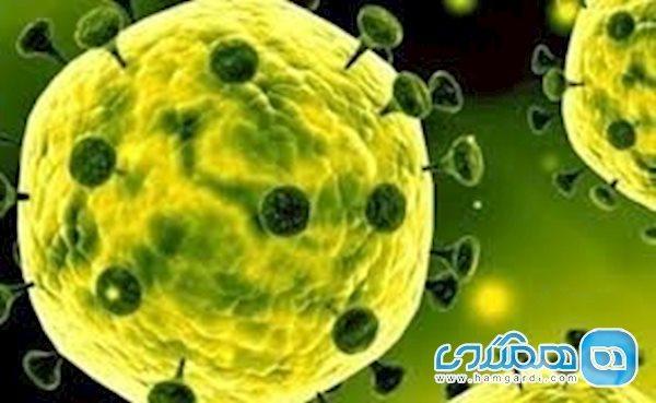 سازمان جهانی بهداشت به 13 سوال کرونایی پاسخ داد سازمان جهانی بهداشت به 13 سوال کرونایی پاسخ داد