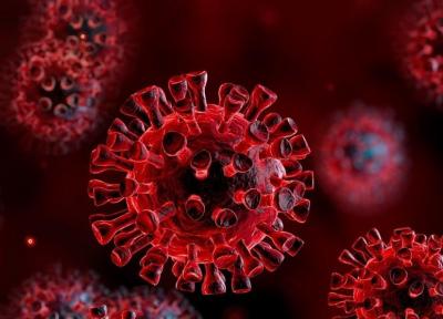 پیش بینی دانشمندان چینی: احتمالا ویروس کرونا کاملا از بین نمی رود