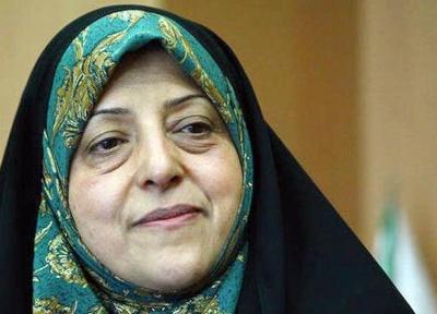 خبرنگاران ابتکار تصویب لایحه حمایت از زنان را به بانوان شکیبا ایرانی تقدیم کرد