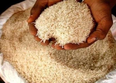 قیمت برنج کاهش نمی یابد
