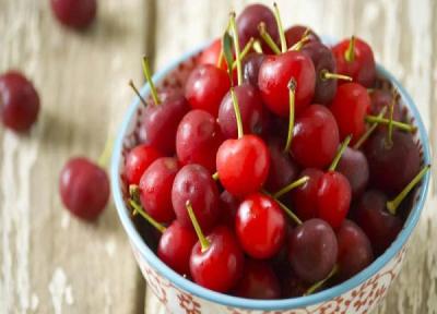 با آلبالو چی درست کنم ، آموزش 25 مدل غذا، دسر، نوشیدنی و تنقلات